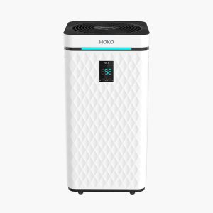Large Room Hepa Air Purifier Ionizer Smart Air Purifier for Office Home CADR800