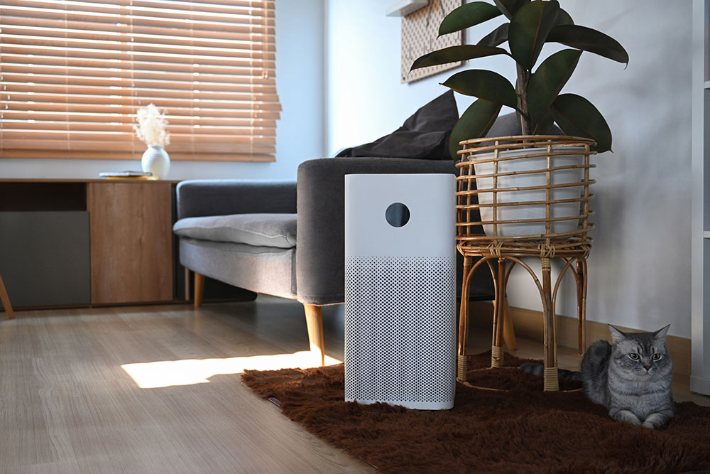 Do Air Purifiers Dry The Air Do Air Purifiers Dry Out the Air? Debunking Myths - HOKO
