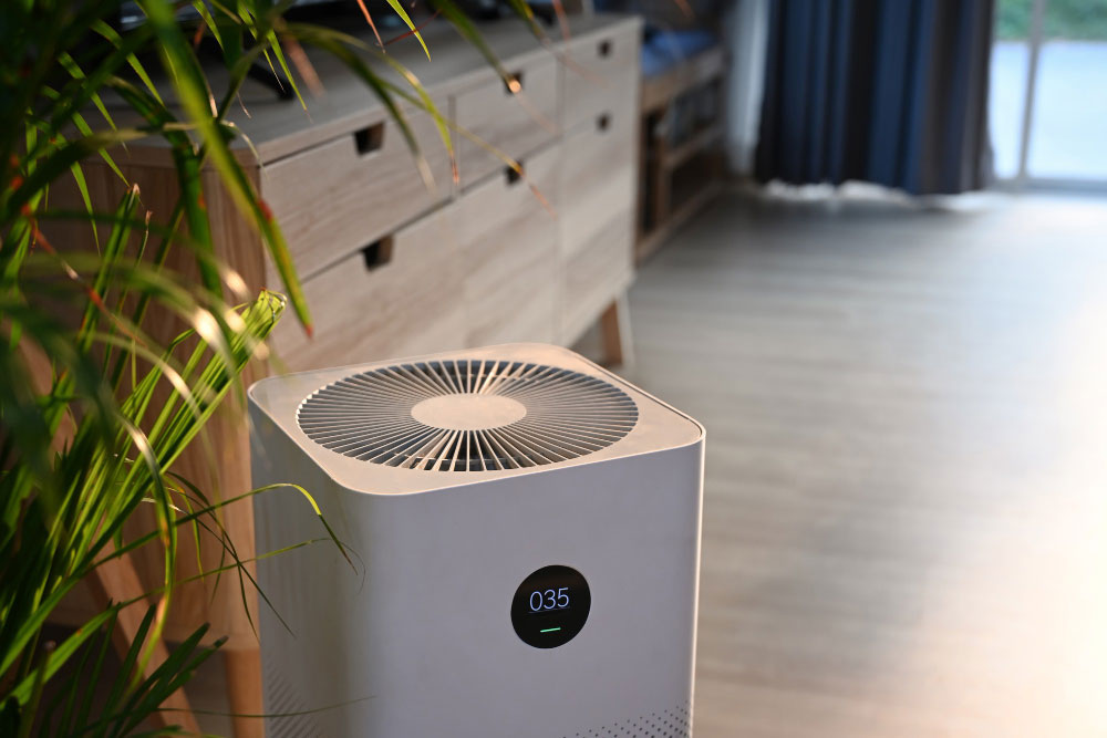 Air Cleaner Wholesale Trends 2024 | HOKO