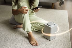 Air Humidifier vs Purifier How to Choose What You Need